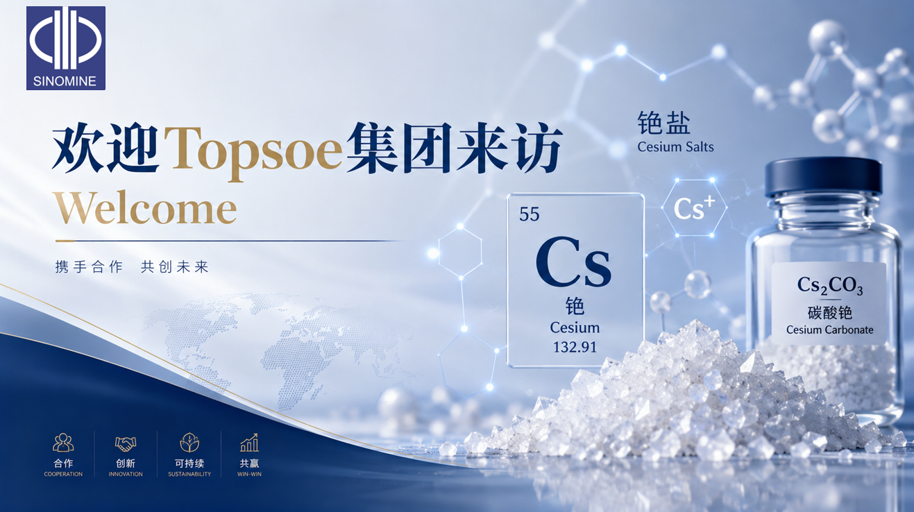 跨越十年，攜手共赴&mdash;&mdash;托普索集團到訪中礦資源集團
